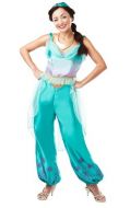 Disney Jasmine - Adult costume