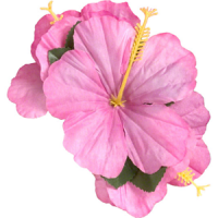  Flower Hair-Clip - Hawaiian