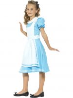 Wonderland Princess Costume (Alice)